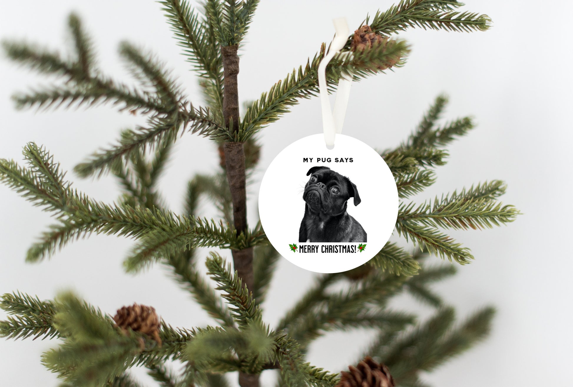 3 inch round flat white ornament hanging in a Christmas tree with a picture of the head and shoulders of a black pug with the words "My pug says" above the pug and "Merry Christmas" below the pug. 