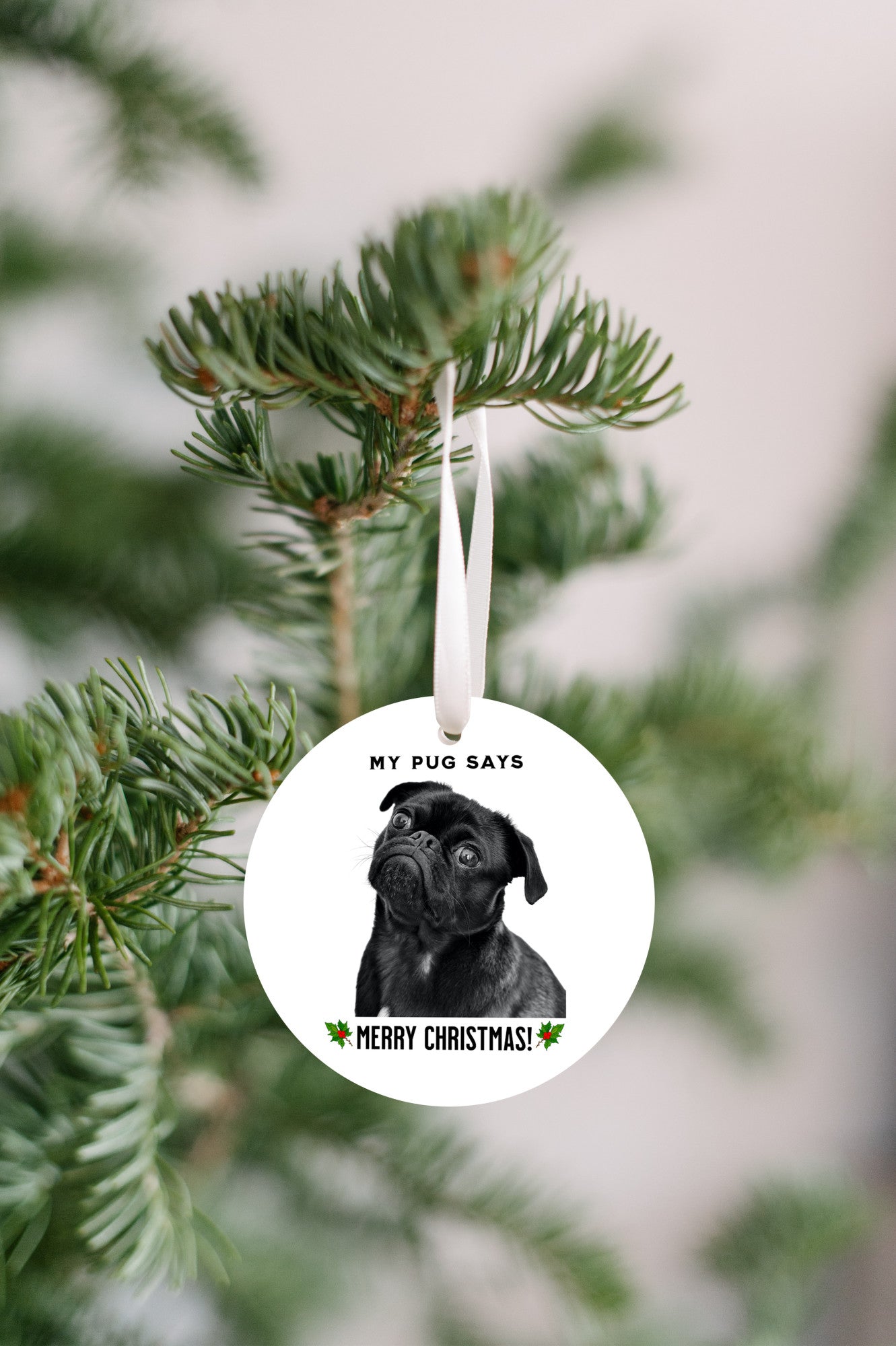 3 inch round flat white ornament hanging in a Christmas tree with a picture of the head and shoulders of a black pug with the words "My pug says" above the pug and "Merry Christmas" below the pug. 